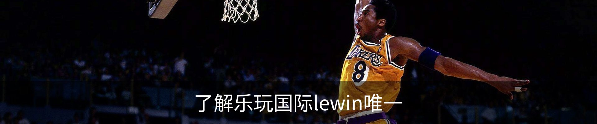 了解乐玩国际lewin唯一